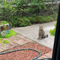 お客さん