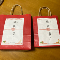 初走りで運試し