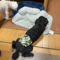 一緒やなぁ