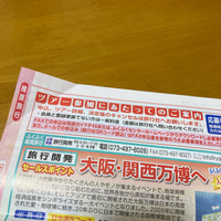 万博行くよ〜