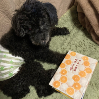 アンと幸福