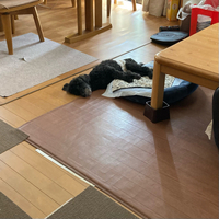 ちょっとビビる