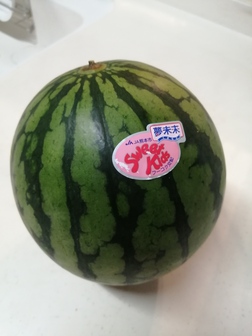 あは(*´ω`*) あは(*´ω`*)