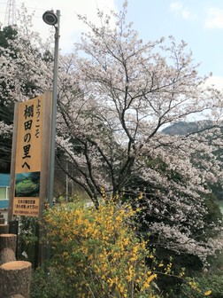 パトロール パトロール