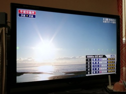 雨なのね