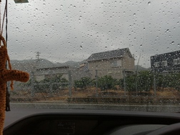 雨 雨
