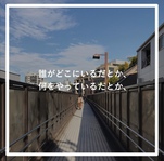 さどけん