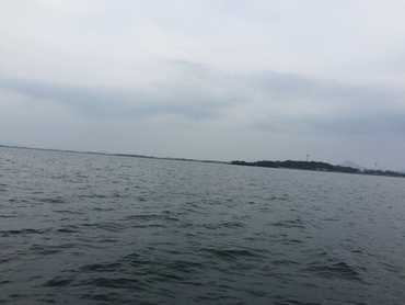 琵琶湖20150602-2 琵琶湖20150602-2