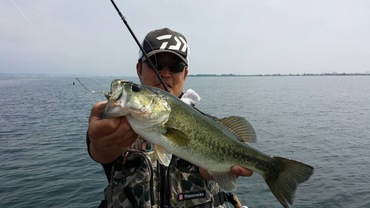 琵琶湖20150602-3 琵琶湖20150602-3