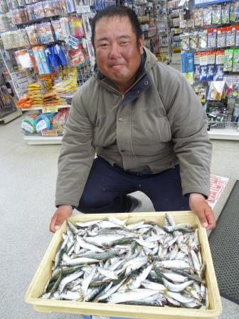 【和歌山釣果情報】田ノ浦のサビキ釣り