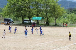 ■和歌山県スポーツ少年団サッカー交流大会(予選) の戦績