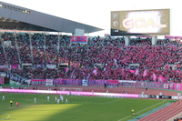 ■サッカー教室参加＆セレッソ大阪の試合を観戦しました！