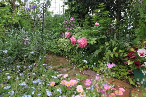 ガーデンの花