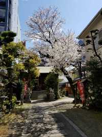 多賀神社に行ってみた