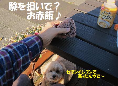 くぅちゃん、お受験の旅～その①