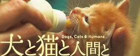 「犬と猫と人間と」和歌山市内で上映会♪