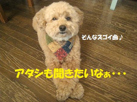 「真夜中の音楽室」にて～♪