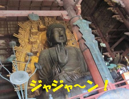 ワン連れ奈良の旅～④大仏殿へ～