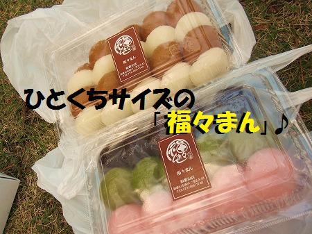 お散歩デビューとおまんじゅう