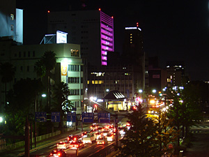 市役所ライトアップ
