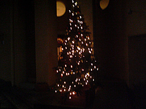 ラパンのクリスマスツリー