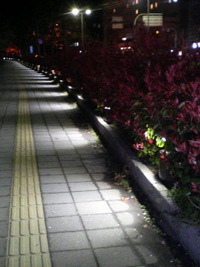 LEDライト