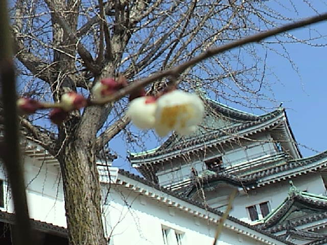 新米課長日記（２０１１／２／４）