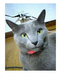 新米課長日記（２０１０／４／１６）