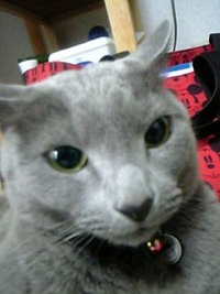 新米課長日記(2010/1/24)