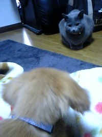 新米課長日記(2010/2/14)