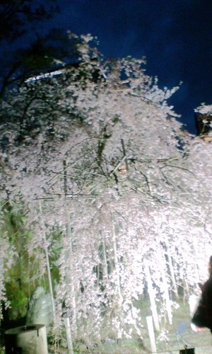 心機一転♪