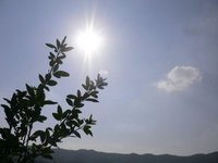 本日の和歌山は快晴！！