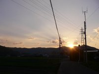 黄金色の夕焼け