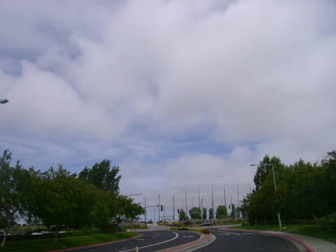 今日は霧