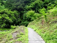 文蔵の滝