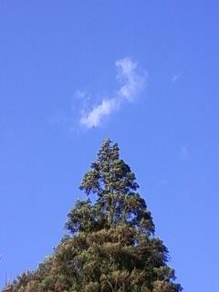 cloud