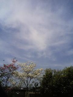 cloud