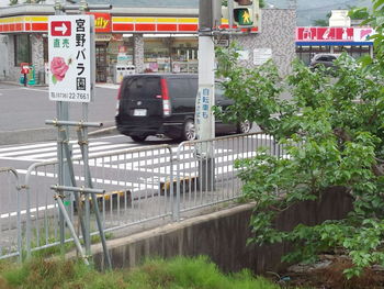 宮野バラ園
