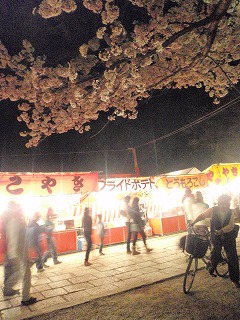 夜桜と入学式