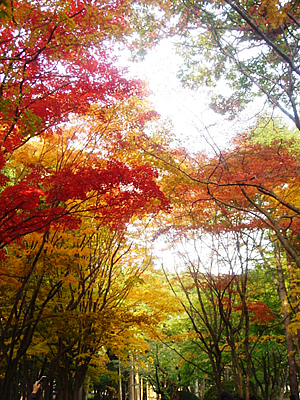 北海道はでっかいどう 1