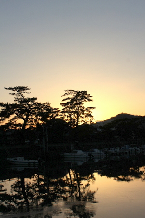 和歌川の干潟