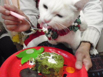 美味しいクリスマス