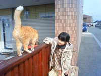 お世話になってます。