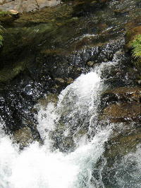渓流の水は冷たくて気持ちいいです