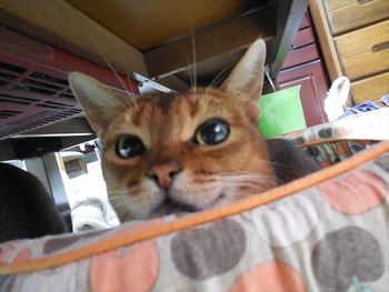 連休定休日