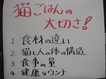 猫の勉強会