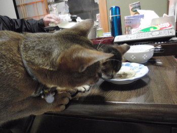 お食い初め