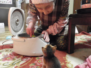 お食い初め