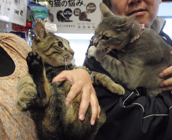 キュート君＆るなちゃん