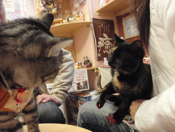 サビちゃん嬉しいね